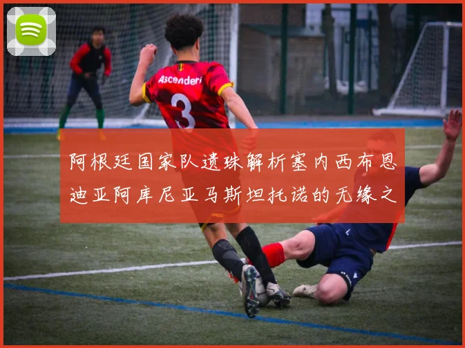 阿根廷国家队遗珠解析塞内西布恩迪亚阿库尼亚马斯坦托诺的无缘之路