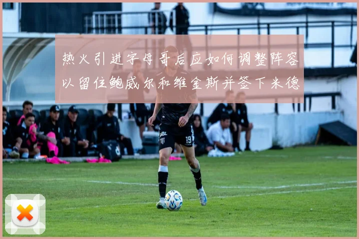 热火引进字母哥后应如何调整阵容以留住鲍威尔和维金斯并签下米德尔顿